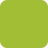 Vert menthe