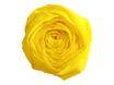 Clairefontaine Premium - Papier crépon - Rouleau 50 cm x 2,5 m - 40 g/m² - jaune citron
