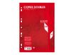 Calligraphe - copies doubles - 200 pages - A4 - petits carreaux (5x5 mm) - perforées