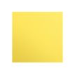 3329681972541-Clairefontaine Maya - Papier à dessin - 50 x 70 cm - 25 feuilles - 270 g/m² - citron-P_97254_1-0
