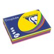 Clairefontaine Trophée - Papier couleur - A4 (210 x 297 mm) - 80 g/m² - Ramette de 500 feuilles - coloris assortis