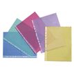 3135251060507-Viquel - 50 Pochettes perforées - A4 - 7/100 - couleurs assorties--3