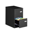 Classeur métallique monobloc professionnel - 2 tiroirs - H71 x L41 x P62 cm - noir