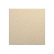 3329680937824-Clairefontaine - Papier dessin couleur à grain - feuille 50 x 65 cm - lichen-P_153782_1-0