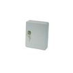 0400000169224-Solveig - Armoire à clés - 20 crochets - acier gris clair--1