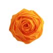 Clairefontaine Premium - Papier crépon - Rouleau 50 cm x 2,5 m - 40 g/m² - or