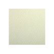 Clairefontaine - Papier dessin couleur à grain - feuille 50 x 65 cm - vert pâle