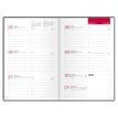 3147280208621-Agenda Oxford Senso - 1 semaine sur 2 pages - 10 x 15 cm - disponible dans différentes couleurs - Hame--1