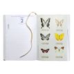 3660942072090-Agenda Curiosités - 1 jour par page - 12 x 17 cm - disponible dans différentes couleurs - Exacompta--2