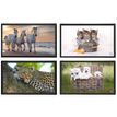 3135251382876-Viquel - Sous-main Animaux - 59,8 x 36,5 cm - disponible dans différents modèles--0