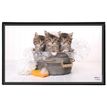 3135251382876-Viquel - Sous-main Animaux - 59,8 x 36,5 cm - disponible dans différents modèles--1