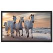3135251382876-Viquel - Sous-main Animaux - 59,8 x 36,5 cm - disponible dans différents modèles--2
