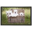 3135251382876-Viquel - Sous-main Animaux - 59,8 x 36,5 cm - disponible dans différents modèles--3