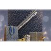 3329682020661-Clairefontaine Excellia Christmas - Papier cadeau - 70 cm x 2 m - différents modèles disponibles (nui--3