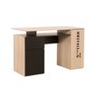 3483600773524-Bureau droit INDUS avec rangement - L. 120 x P. 55 x H. 75 cm--3