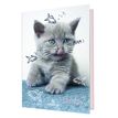 3664447143842-Agenda Chaton - 1 jour par page - 12,5 x 17,5 cm - drôle - Oberthur--0