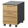 3483601225572-Caisson mobile JAZZ+ - Profondeur 60 cm - 2 tiroirs - chêne du bocage--0