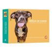 9782755667974-Agenda-Calendrier Drôles de chiens--0