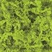 E.Pack La Couronne - 2.5 kgs Frisures de papier kraft 80% recyclé - 80 gr - Vert Pomme