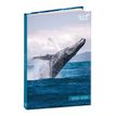 3371010525232-EUROTEXTAGENDA ML Mes potes à pattes sauvages - Baleine - 12x17 cm - Journalier - 12 mois de août à ju--0