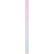 3664447201498-Stylo plume Goldy - 5 decors assortis - Oberthur--2