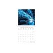 8054117622084-Calendrier mensuel Planet earth - 30 x 29 cm - Legami-P_405131693_2-1