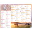 3664447138565-Calendrier Cheval - 7 mois par face - 32 x 42 cm - Oberthur-P_405132159_2-1