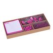 8410782184249-Apli Fluor Collection - Set de fournitures de bureau (punaises, trombones, pinces pliantes et-P_405137209_1-0