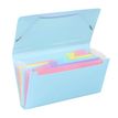 3135251131153-Viquel Rainbow Pastel - Trieur à soufflet - format chèque - disponible en différents co-P_405141926_3-2