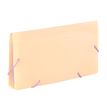 3135251131153-Viquel Rainbow Pastel - Trieur à soufflet - format chèque - disponible en différents co-P_405141926_4-3