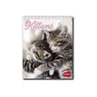 8052694000240-Legami Photo Collection - Calendrier 2024 - 12 x 14,5 cm - chatons-P_405143176_1-0