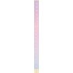 3664447171944-Stylo plume Goldy - 5 decors assortis - Oberthur-P_405188862_1-0