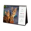 8422952383116-Finocam - Calendrier - de bureau - 2025 - cute kittens - mois à afficher - S - 210 x 150 -P_405226633_3-0