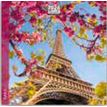 3494150174563-Calendrier 16x16cm 16 mois Aquarupella - Paris--0