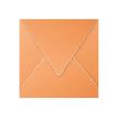 Pollen - 20 Enveloppes - 140 x 140 mm - 120 g/m² - clémentine