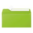 Pollen - 20 Enveloppes - 110 x 220 mm - 120 g/m² - menthe