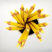 8410782180531-Apli Agipa - Crayon de couleur triangulaire Jumbo - jaune pastel--3