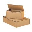 50 Boîtes postales d'expédition - 25 cm x 15 cm x 10 cm - kraft brun - Logistipack