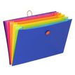 3135251267319-Viquel Happy Fluo - Trieur extensible 6 positions-P_79405022_1-0