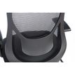 3760185028011-Fauteuil de bureau PRORELAX - accoudoirs réglables - appui-tête réglable et repose-jam-P_79419678_12-11