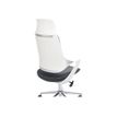3701338800764-Fauteuil de bureau YORK - accoudoirs fixes - appui-tête fixe - noir - synchrone (1 positio-P_79438615_7-6