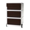 Caisson de bureau mobile EASYBOX - 2 tiroirs et 2 plumiers - Wengé