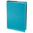 Agenda Club Le Professeur - 2 semaines sur 2 pages - 21 x 27 cm - turquoise - Quo Vadis