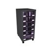 Module de rangement à roulettes 6 tiroirs - anthracite/prune