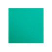 3329680972511-Clairefontaine Maya - Papier à dessin - 50 x 70 cm - 270 g/m² - vert foncé-P_972511_1-0