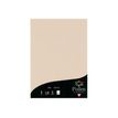 Pollen - 50 Feuilles papier couleur - A4 (21 x 29,7 cm) - 120 g/m² - ivoire