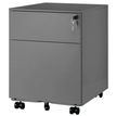 3700339880805-Caisson mobile métallique monobloc - H50 x L42 x P56,5 cm - 2 tiroirs - silver--0