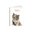 3592930017267-Agenda Chaton - 1 jour par page - 12 x 17 cm - Bouchut-Angle gauche-3