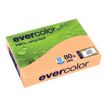 Clairefontaine Evercolor - Papier couleur recyclé - A4 (210 x 297 mm) - 80g/m² - Ramette de 500 feuilles - saumon