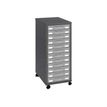 Module de rangement à roulettes 12 tiroirs - anthracite/gris